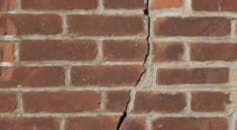 iStock 000012169500 small1