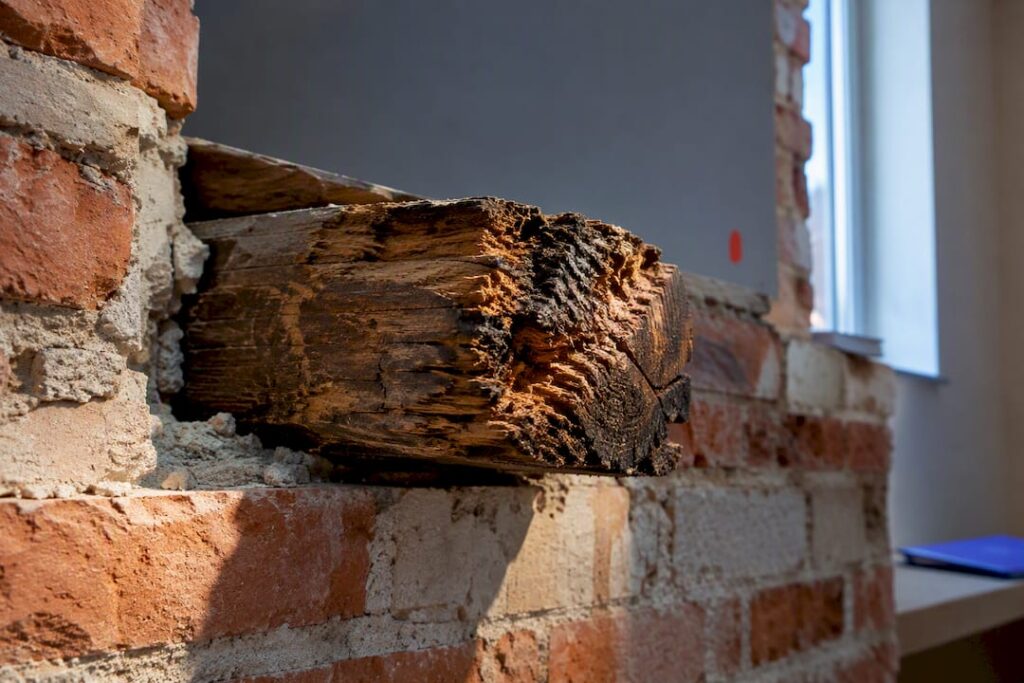 Beschadigde houten balkkop in metselwerk
